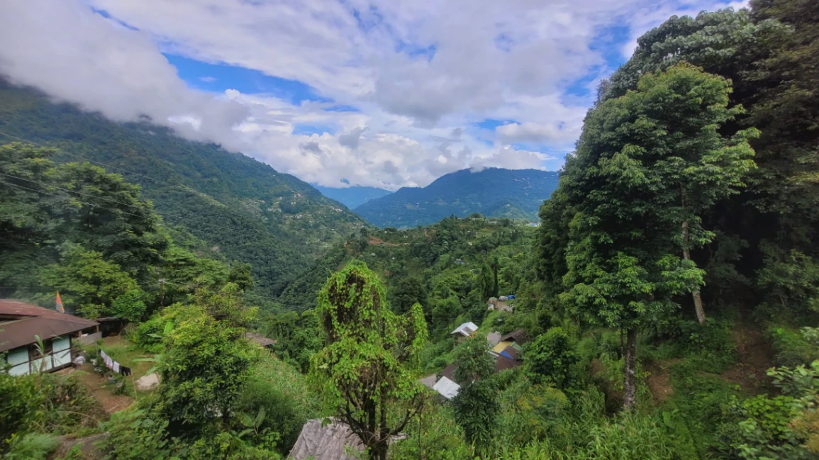 Blog 1
