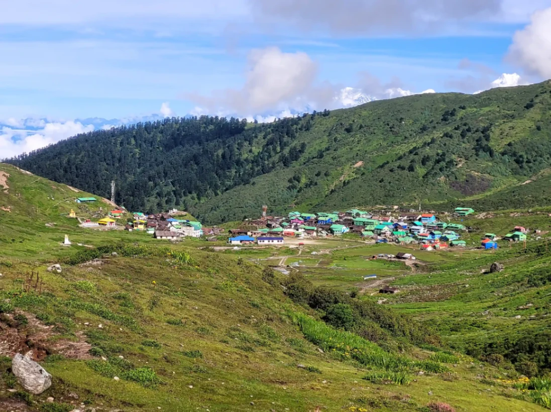 Zuluk