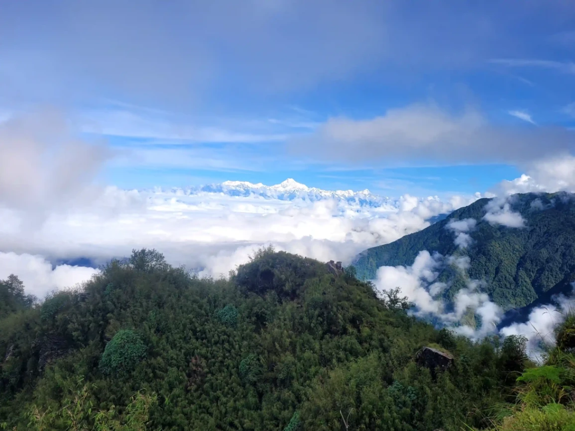 Zuluk