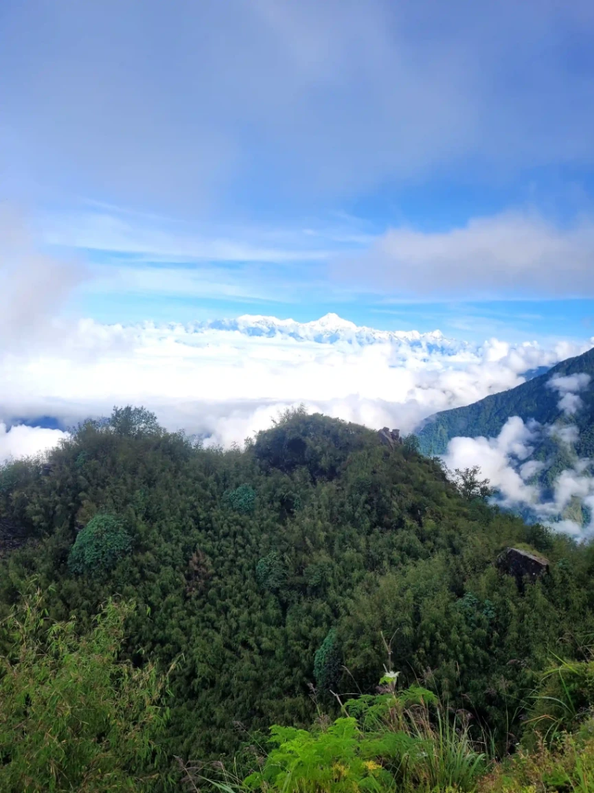 Zuluk