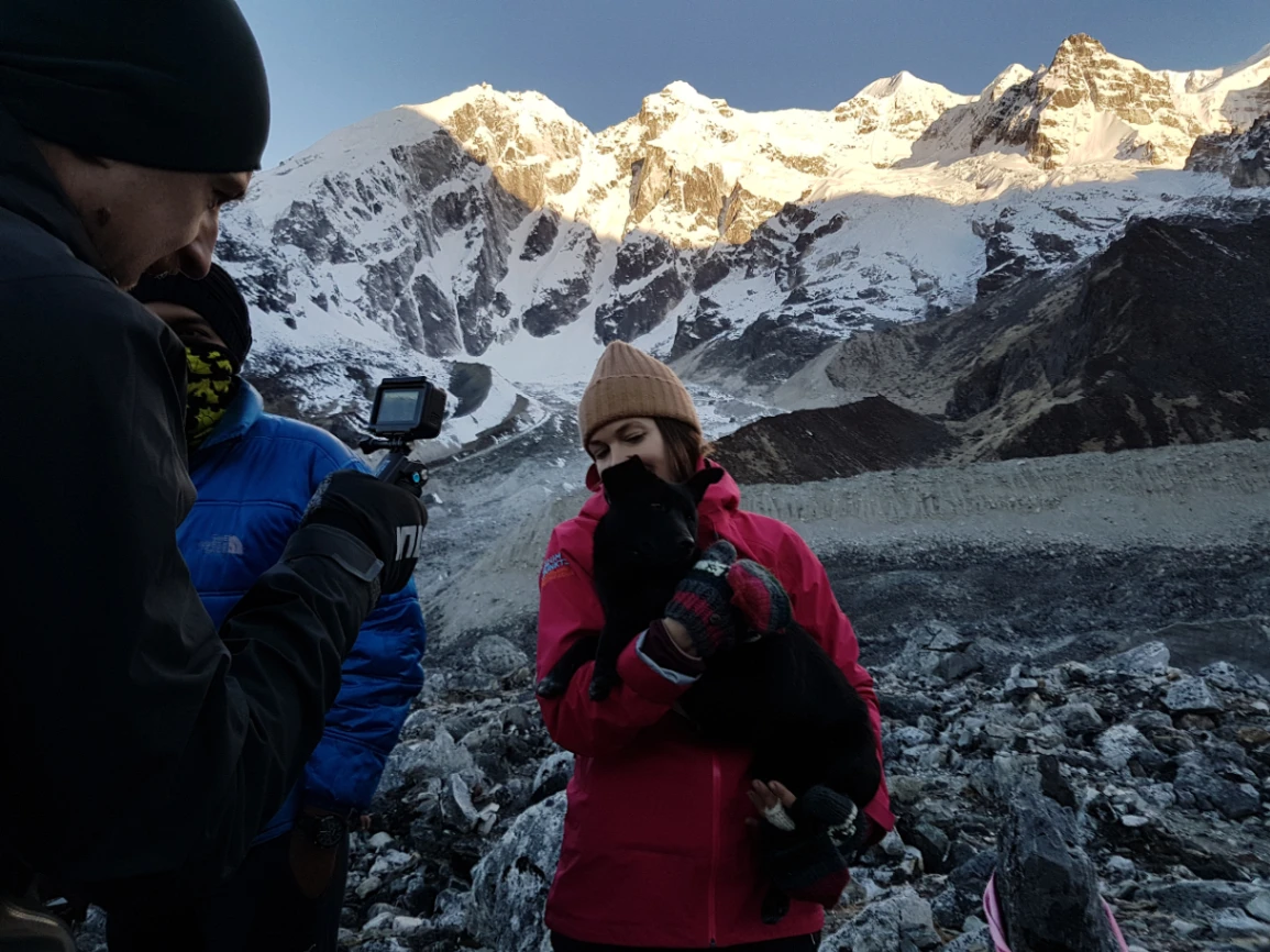 Glacier Treks and Adventure