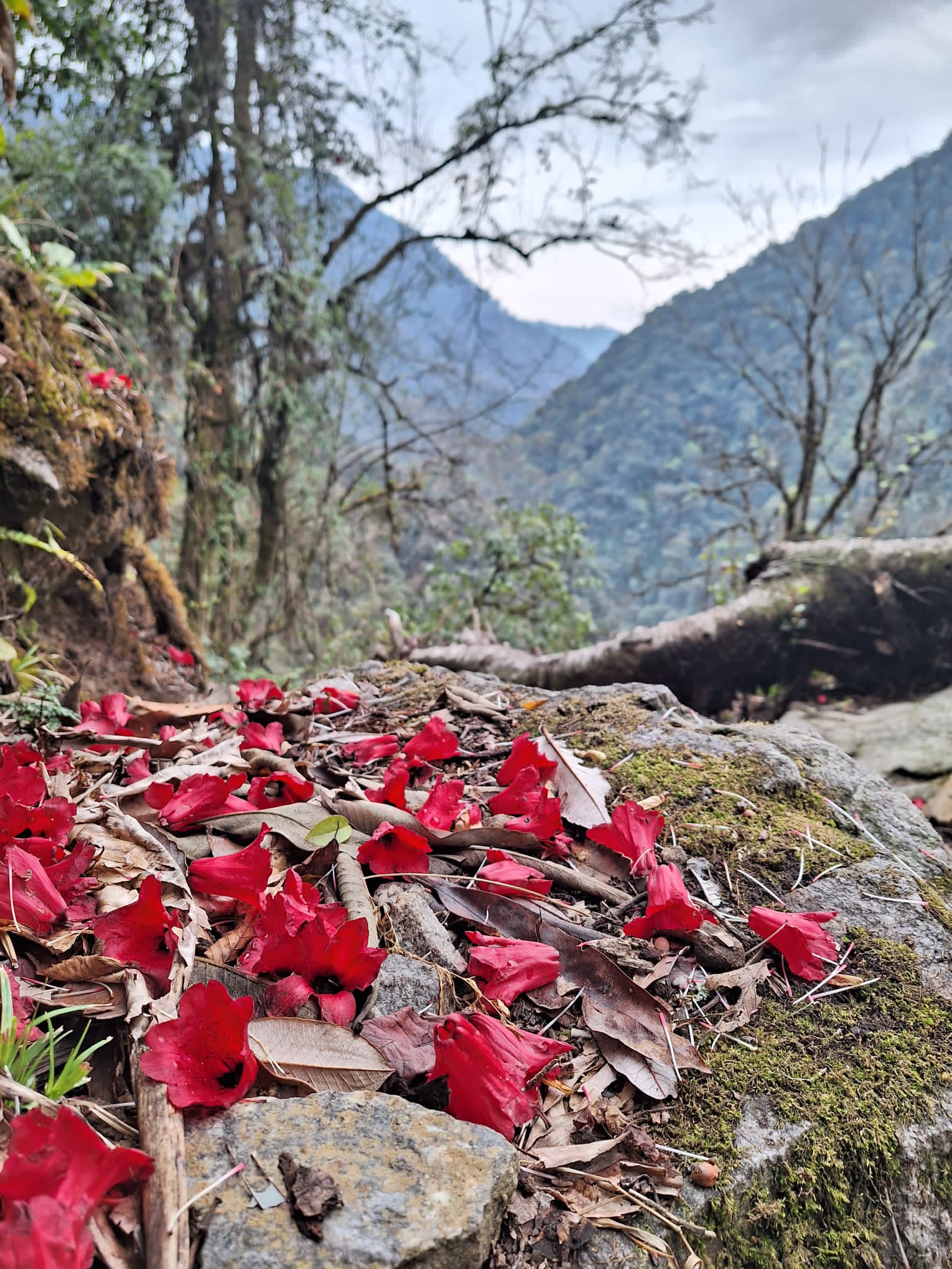 Photey Dara Trek